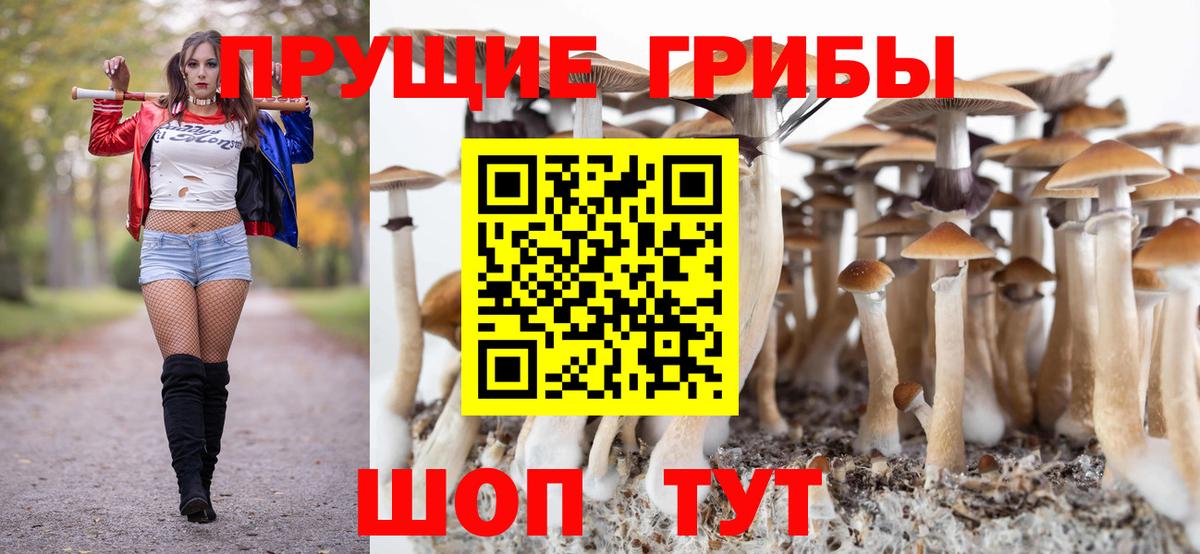 Дагестанские Огни  Галлюциногенные грибы MAGIC MUSHROOMS  Галлюциногенные грибы ЛСД  Вход с VPN 